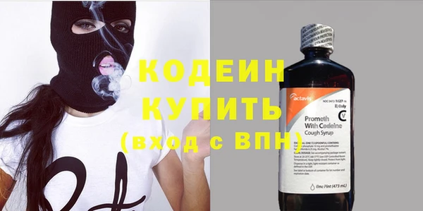гашик Тихвин